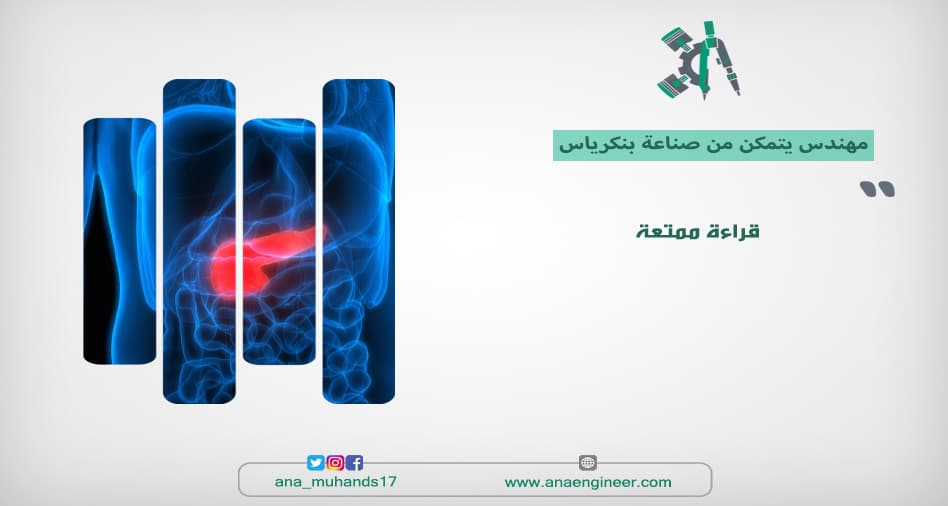 بنكرياس